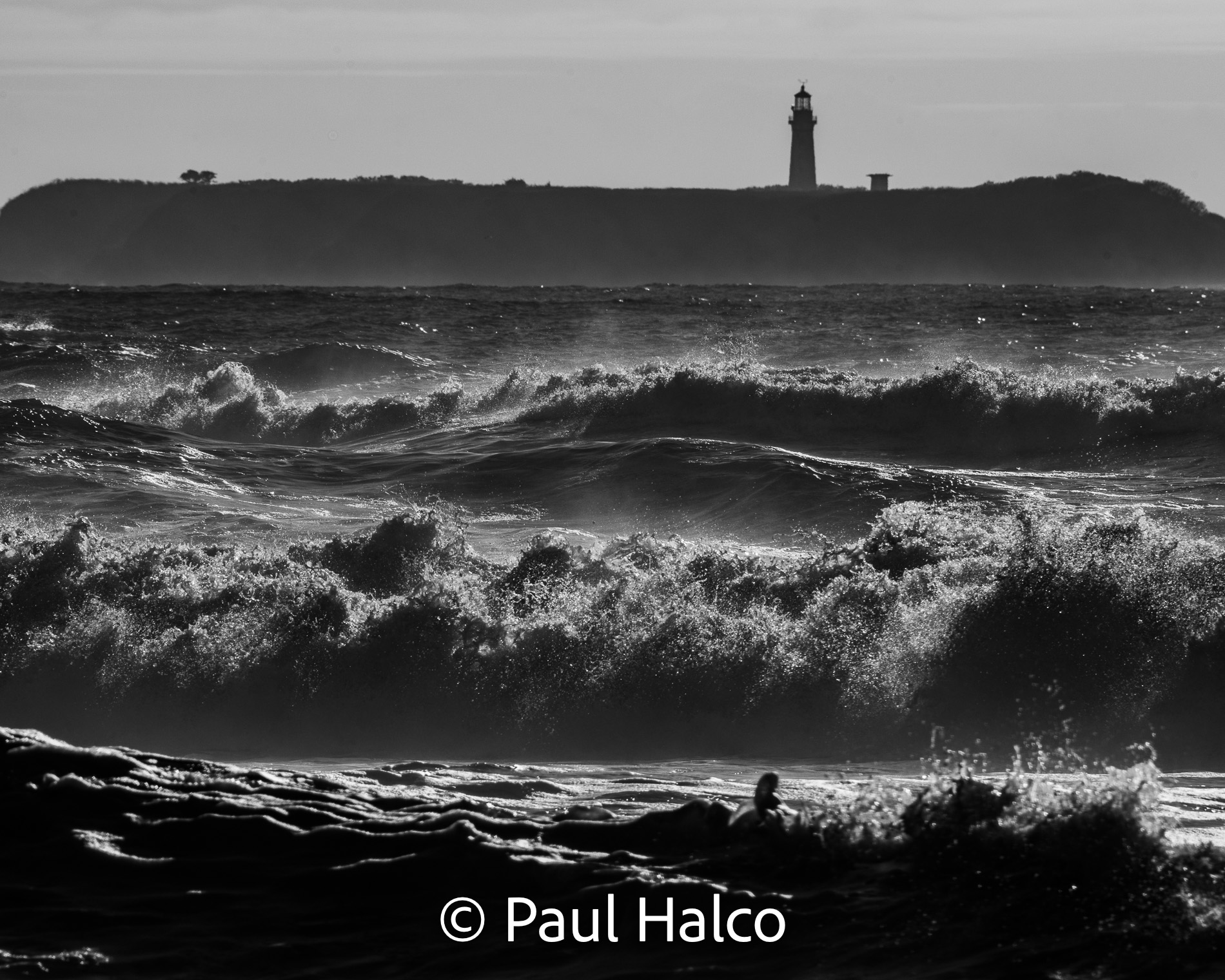 Paul Halco - Olympus NP-12